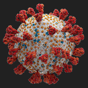 Virus Image